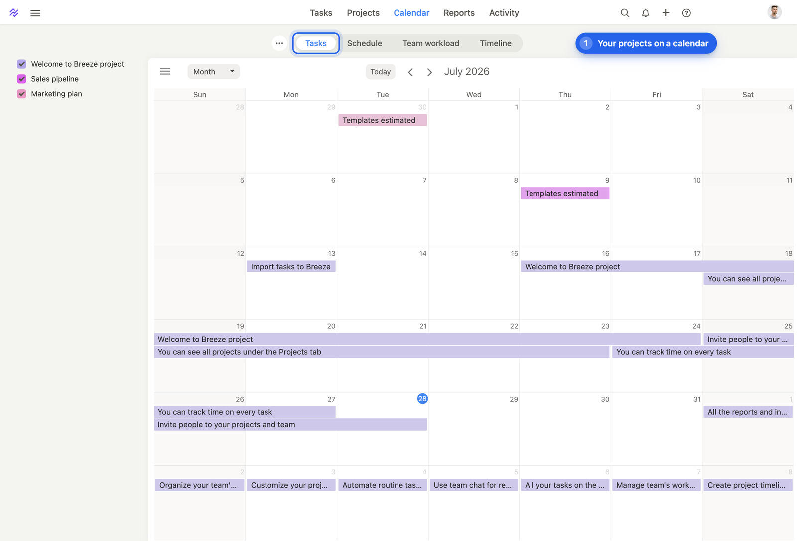 The Breeze calendar in month view with tasks from several projects and the project switches on the left